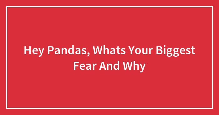 Hey Pandas, Whats Your Biggest Fear And Why (Closed)