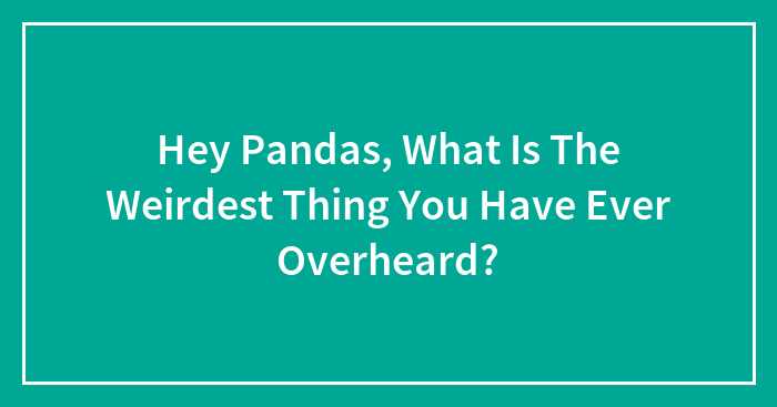 Hey Pandas, What Is The Weirdest Thing You Have Ever Overheard?