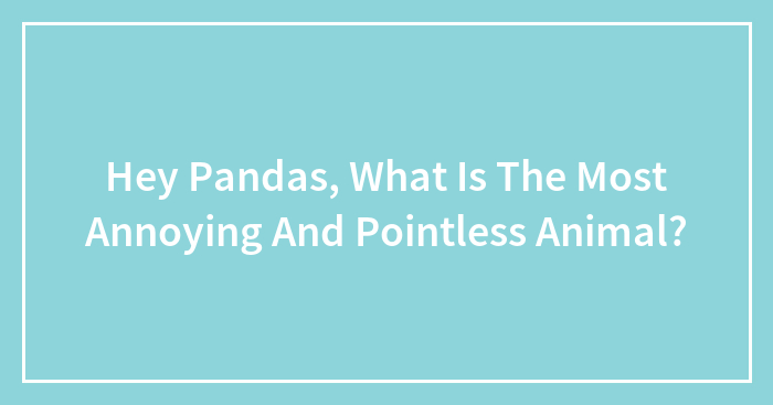 Hey Pandas, What Is The Most Annoying And Pointless Animal? (Closed)