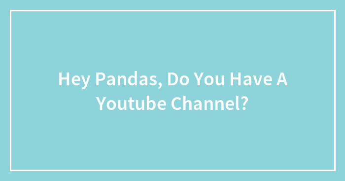 Hey Pandas, Do You Have A Youtube Channel? (Closed)