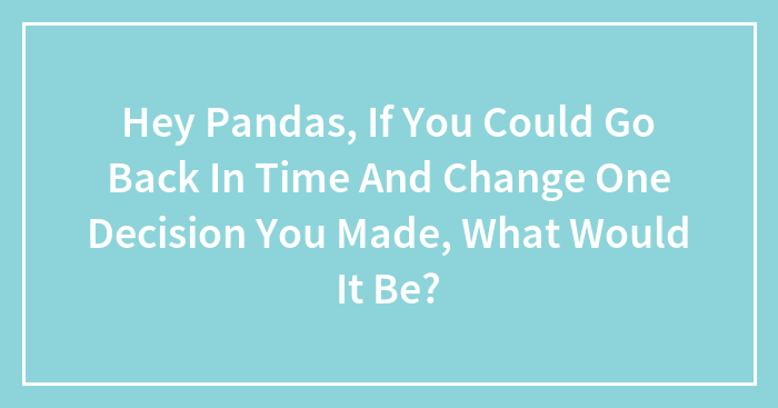 Hey Pandas, If You Could Go Back In Time And Change One Decision You Made, What Would It Be? (Closed)