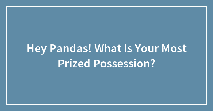 Hey Pandas! What Is Your Most Prized Possession?
