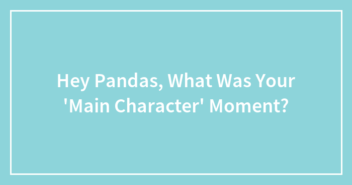 Hey Pandas, What Was Your ‘Main Character’ Moment? (Closed)