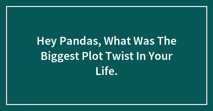 Hey Pandas, What Was The Biggest Plot Twist In Your Life.