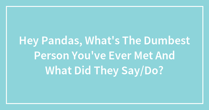 Hey Pandas, What’s The Dumbest Person You’ve Ever Met And What Did They Say/Do?