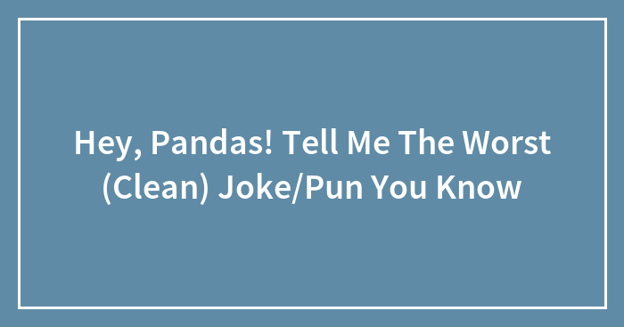 Hey, Pandas! Tell Me The Worst (Clean) Joke/Pun You Know