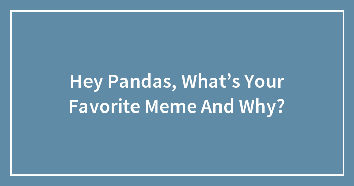 Hey Pandas, What’s Your Favorite Meme And Why?