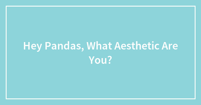 Hey Pandas, What Aesthetic Are You?