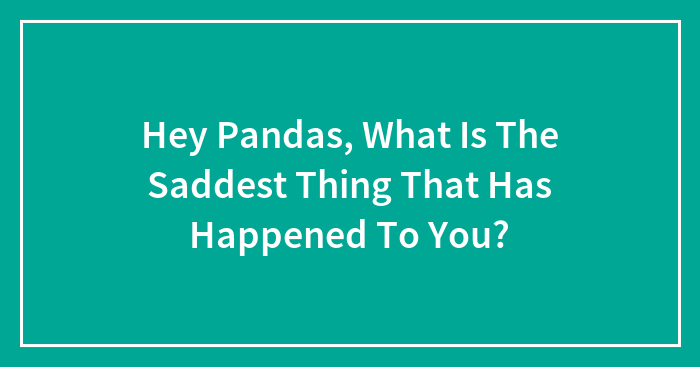 Hey Pandas, What Is The Saddest Thing That Has Happened To You?