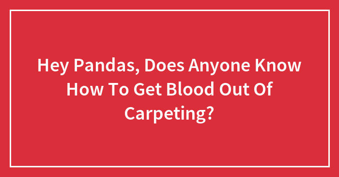 Hey Pandas, Does Anyone Know How To Get Blood Out Of Carpeting?