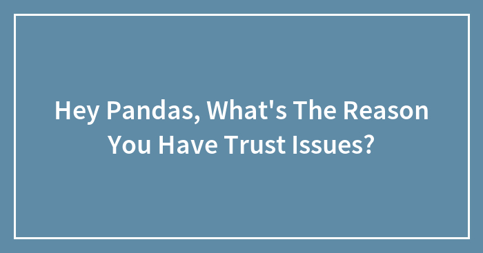 Hey Pandas, What’s The Reason You Have Trust Issues? (Closed)