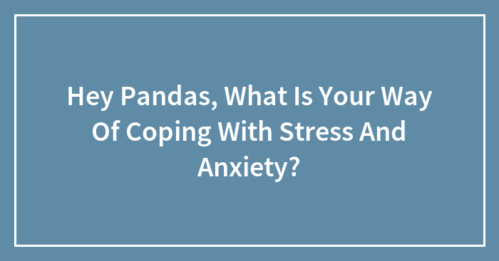 Hey Pandas, What Is Your Way Of Coping With Stress And Anxiety? (Closed)