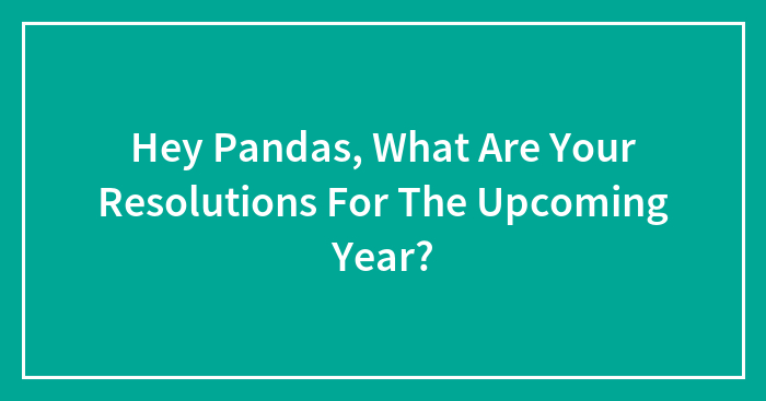 Hey Pandas, What Are Your Resolutions For The Upcoming Year?