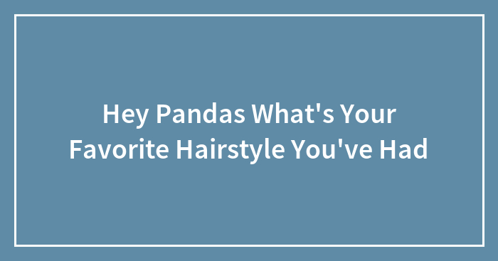 Hey Pandas What’s Your Favorite Hairstyle You’ve Had