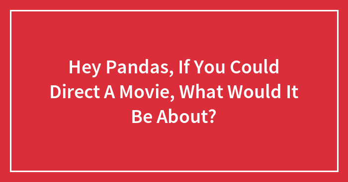 Hey Pandas, If You Could Direct A Movie, What Would It Be About? (Closed)