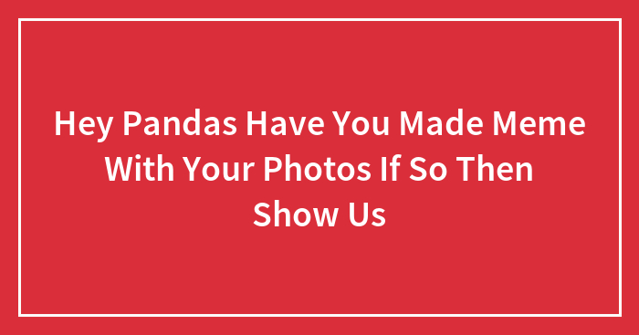 Hey Pandas Have You Made Meme With Your Photos If So Then Show Us