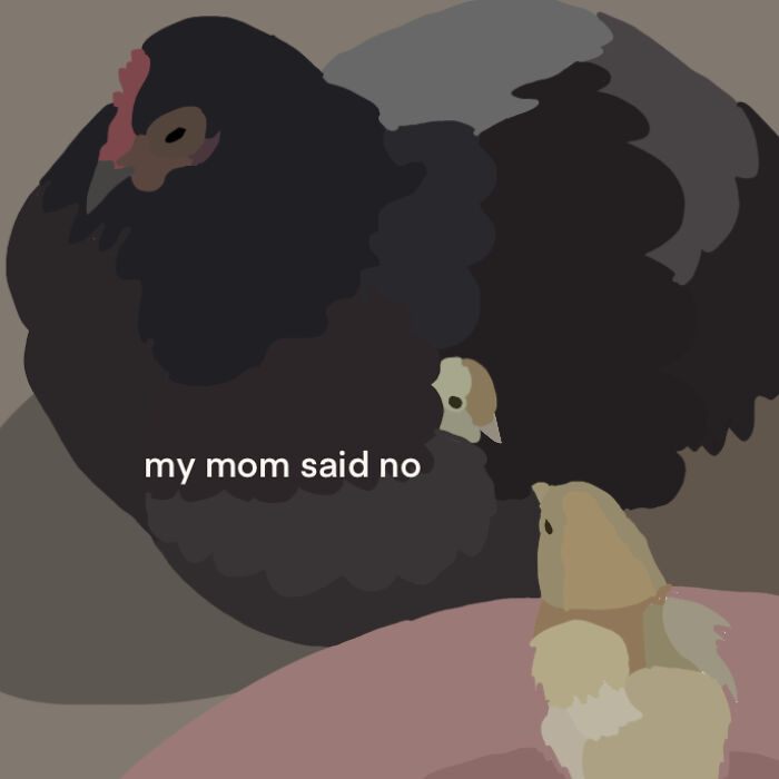 I Take Animal Photos And Make Them Into Cartoons, Here Are 7 Of The Best