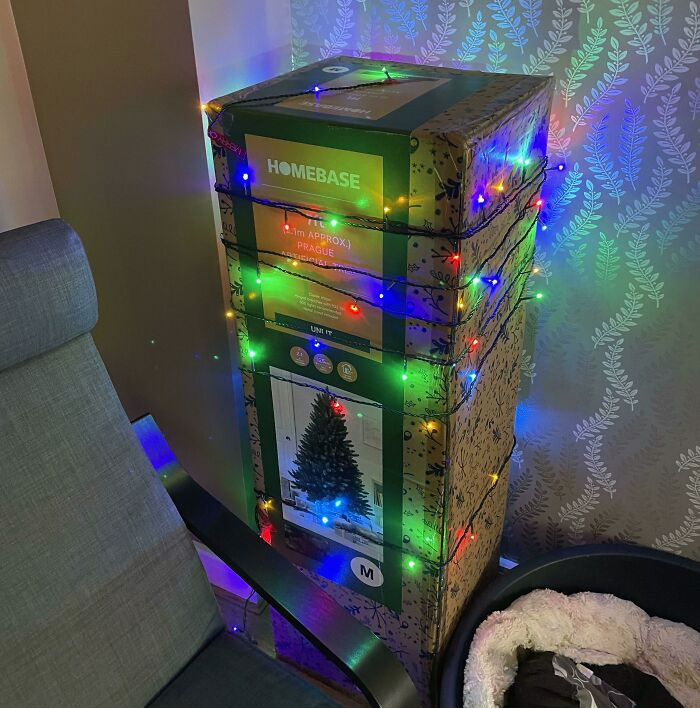 Every Year My Mum Comes To Visit And Complains We Don't Have A Christmas Tree. Think She'll Complain This Year?