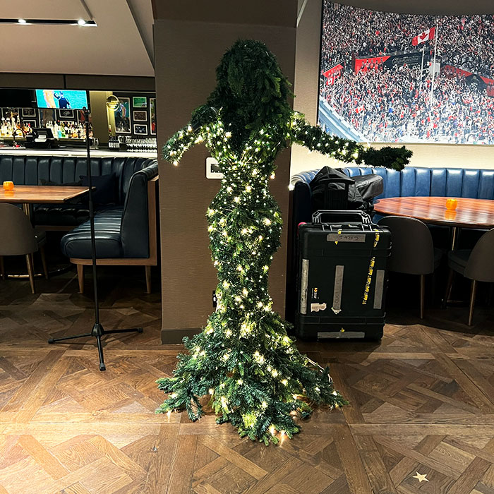 A Christmas Tree Fit For A Queen. Custom Mariah-Fied Tree