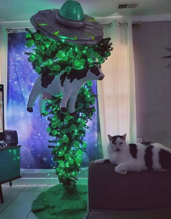 This Christmas Tree Wins Christmas