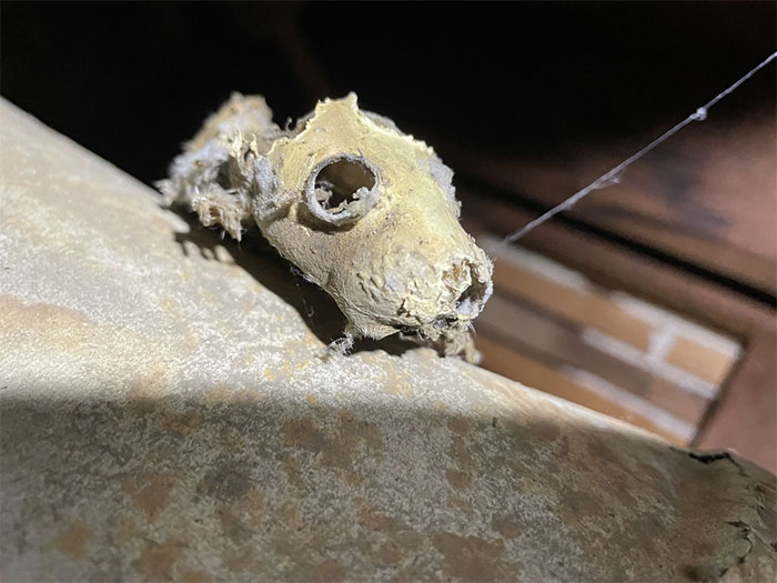 Funny-Dangerous-Structure-Fails