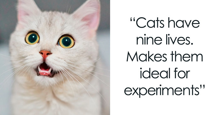 Brighten Up A Day With These 50 Dark Humor Jokes