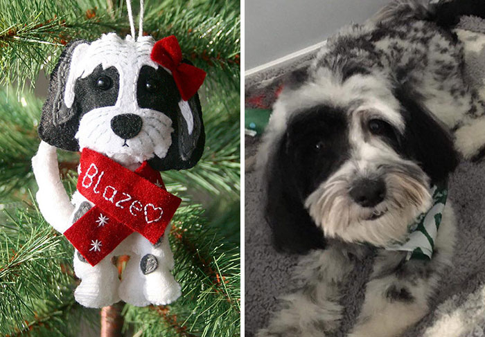 He hecho un adorno de Navidad para mi hermana. Saluden a Blaze 