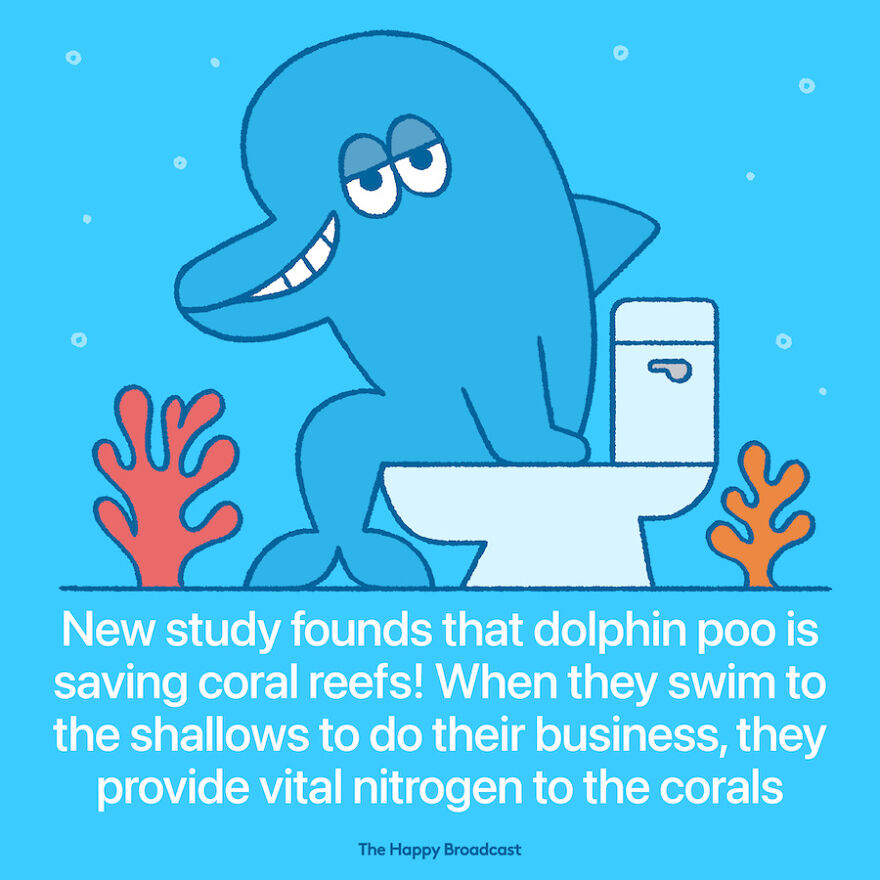 I’m Honestly Fed Up With All The Bad News, So I Illustrated 40 Of The Best Ones From 2022