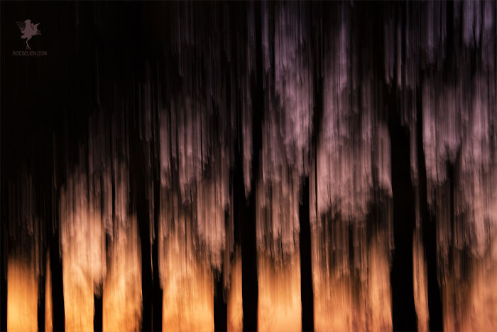 Laughing In The Purple Rain