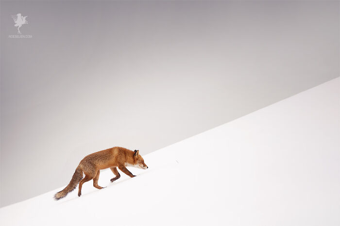 Running Up That Hill