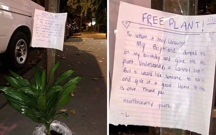 Oh Boy. Let’s Give This Plant A Happy Home