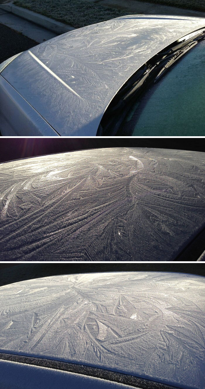 Rained All Last Night. Woke Up To Freezing Temperatures And Awesome Designs On The Car