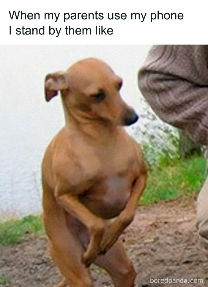 Funny-Antisocial-Memes-Jokes