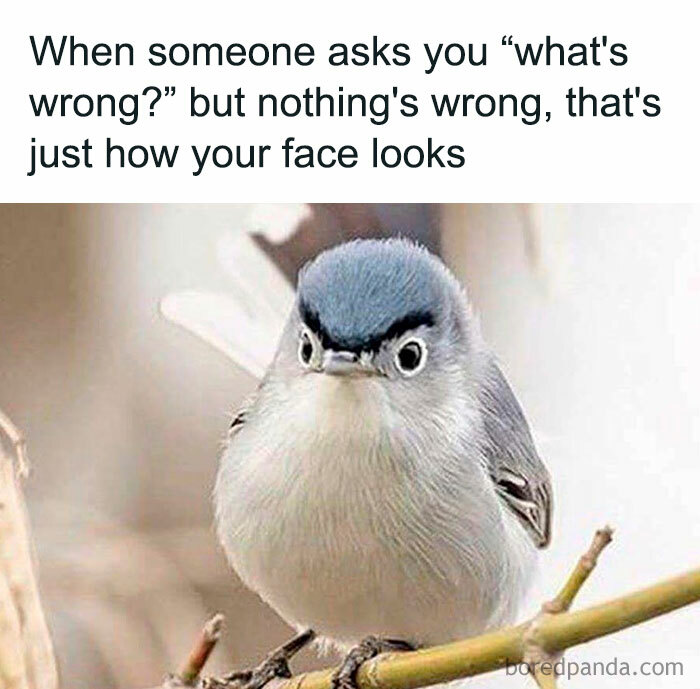 Funny-Antisocial-Memes-Jokes