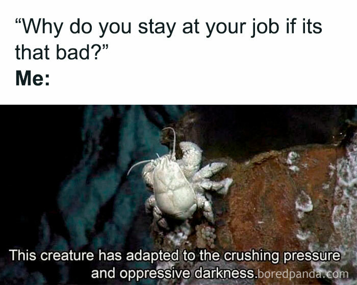 Funny-Antisocial-Memes-Jokes