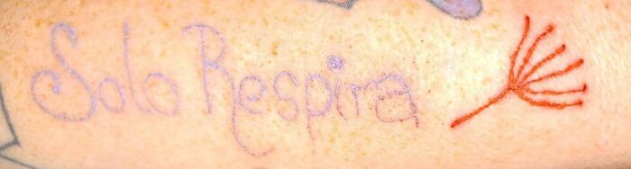 Found On My Feed “Just Breathe”