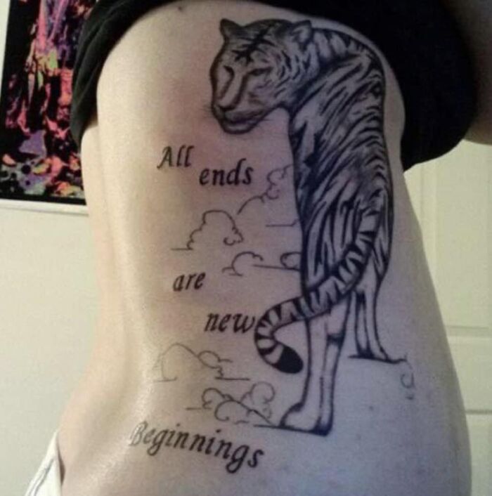 Suspicious Tiger Is Suspicious. But Luckily: All End Are New Beginnings