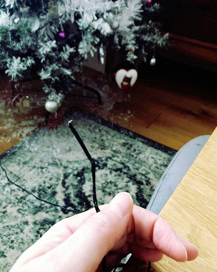 Not Even Finished Decorating The Tree Yet And The Cat Has Chewed Through The Lights