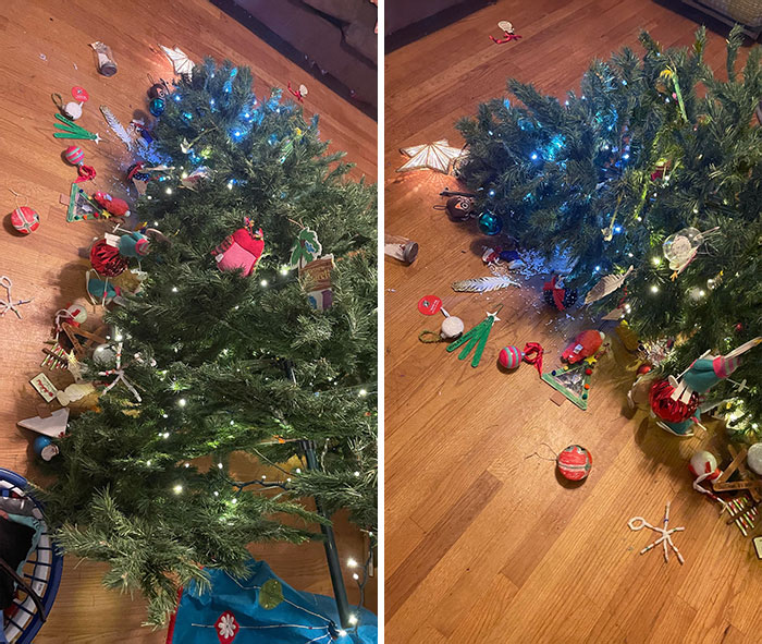 What A Lovely Monday Evening. Looks Like We Are Off To Get A New Christmas Tree