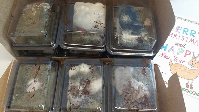 The Christmas Cakes Just Arrived... A Little Late, Thanks Post Office