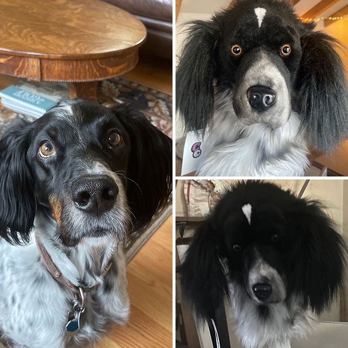 My Dad Asked For One Of Those Realistic Dog Head Golf Club Covers For Christmas. Nobody Is Ever Going To Golf With Him Again