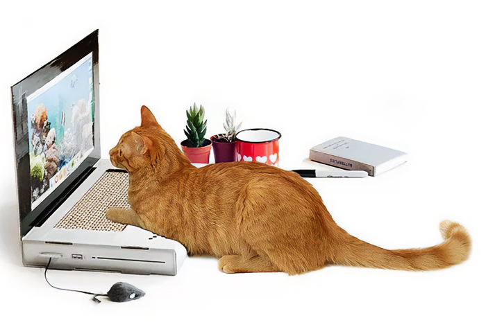 Laptop Cat Scratching Pad