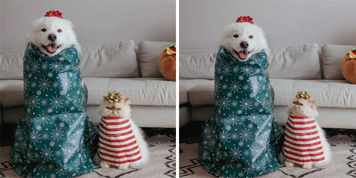 Our Christmas Presents This Year