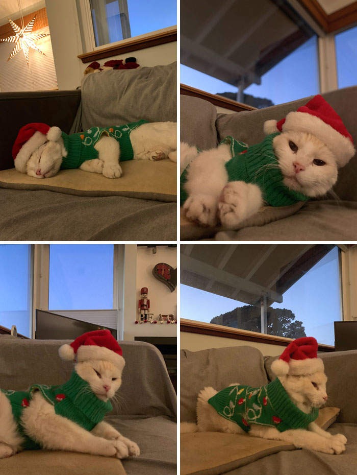 Merry Christmas From A 17-Year-Old Walter