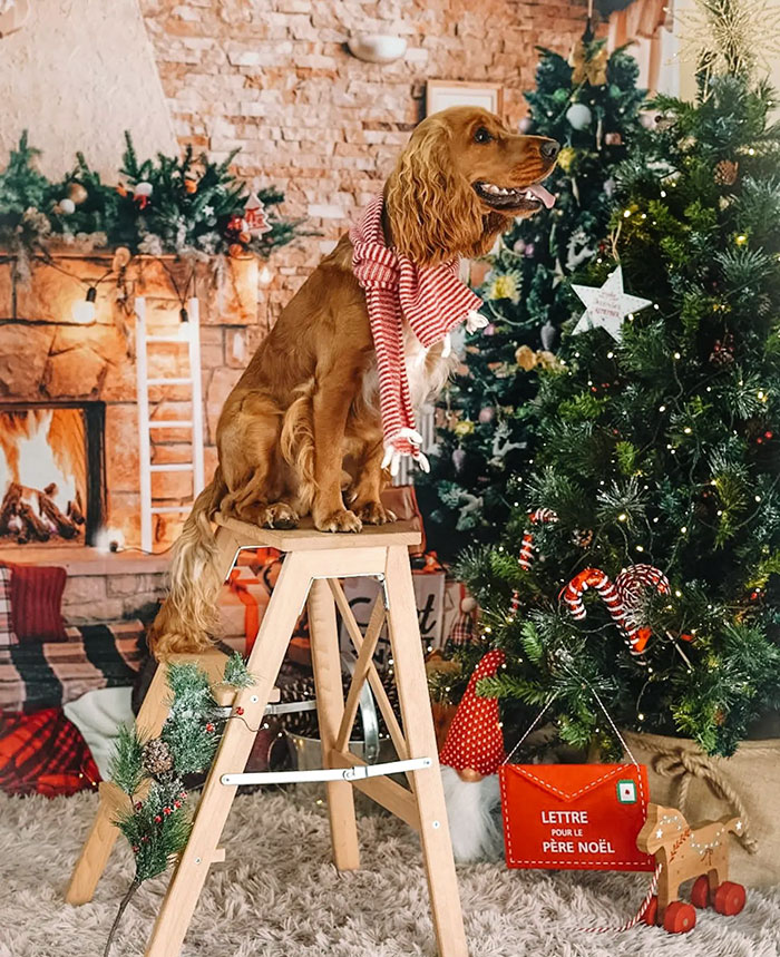 I Wonder If I Can See Santa On His Way