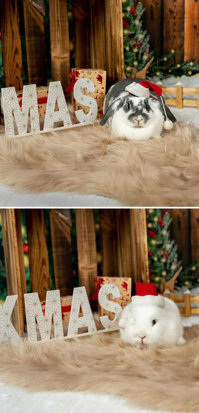 I Can't Wait For Christmas