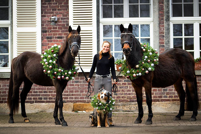 We Wish You A Merry Christmas