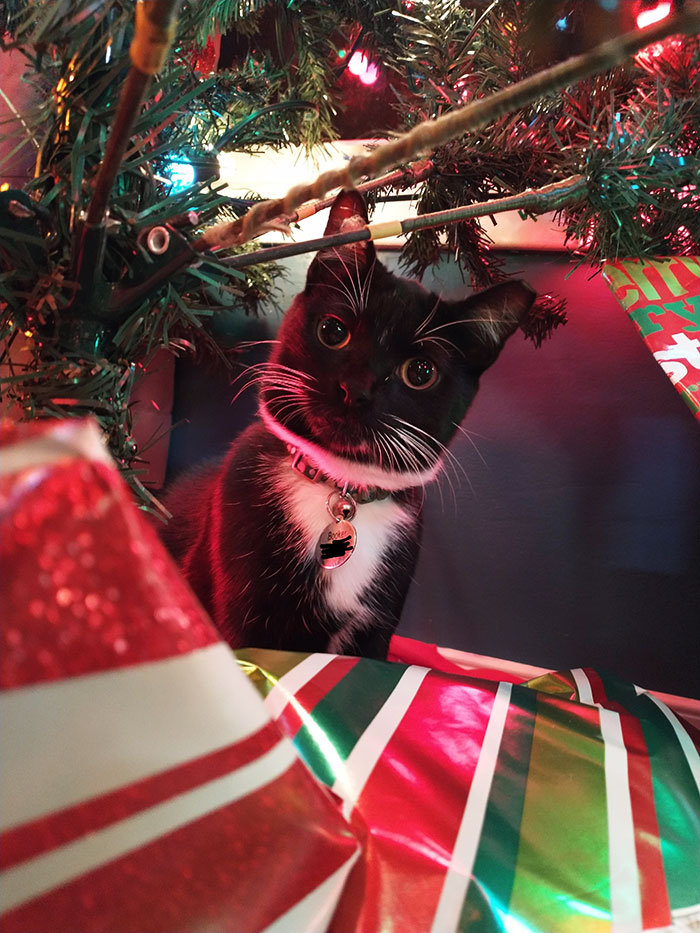 Booker Wants To Wish Everyone A Happy Holidays And Merry Christmas