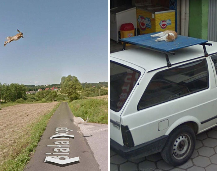 50 Of The Most Amusing And Ridiculous Moments Ever Captured By Google Street View Cameras