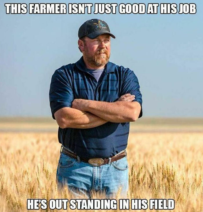 Silly Linguistics Magazine: A Magazine For Language Lovers Everywhere Https://Bit.ly/3ctpdad